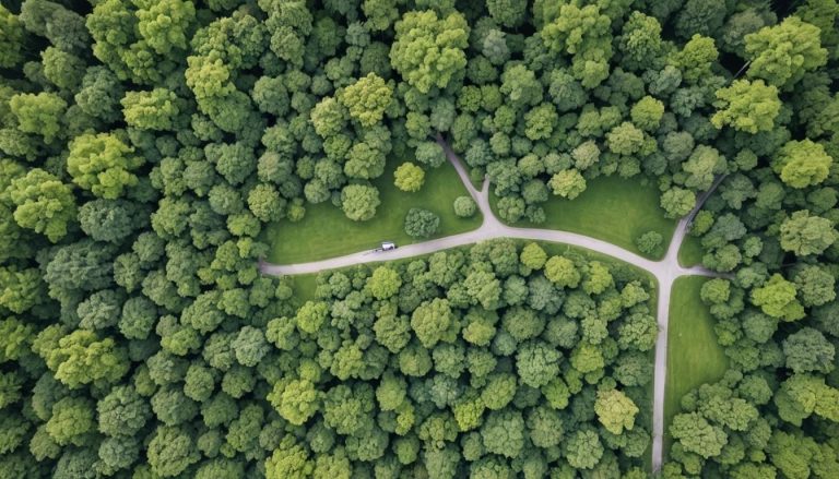 Les bienfaits des espaces verts pour la santé mentale