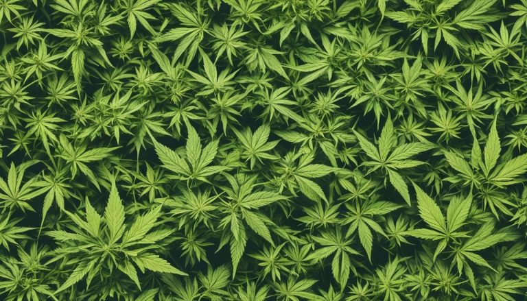 hash cbd france: Les bienfaits surprenants du hasch CBD en France